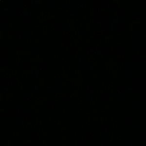 Meet your Posher, Tyrell